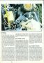 Auto RCM n° 11 Aout 1982 Yankee 84x4